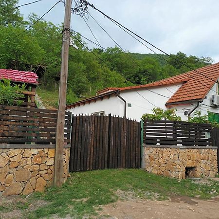 Andrei Villa Szászkabánya Kültér fotó