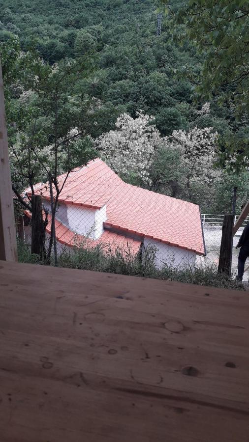 Andrei Villa Szászkabánya Kültér fotó